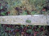 image of grave number 609454
